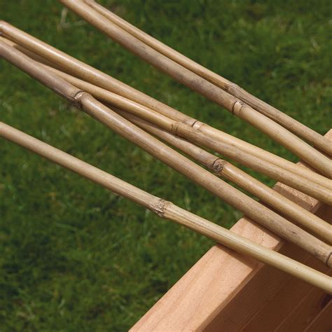 bamboo walking cane|b&q garden canes.